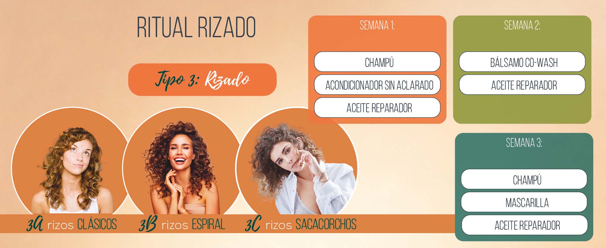 Tipo 3 Cabello rizado